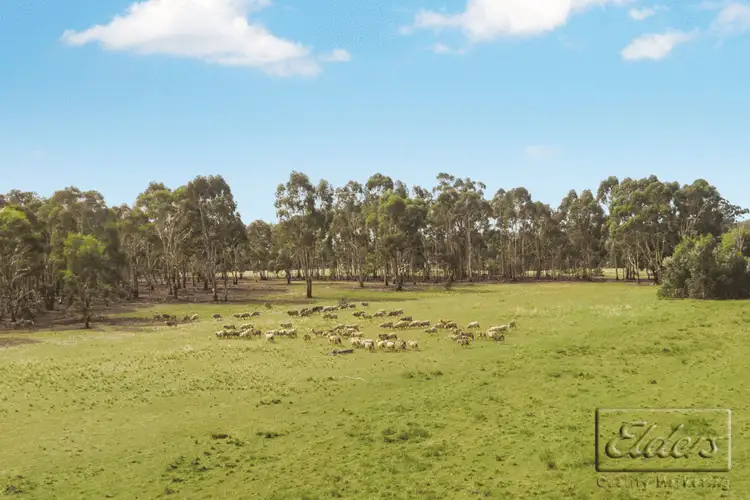 CA21 Axedale-Toolleen Road, Toolleen VIC 3551