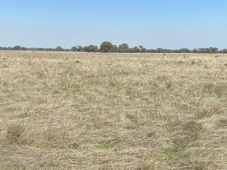 Lot 2 & 3 Lawrence Road, Deniliquin NSW 2710