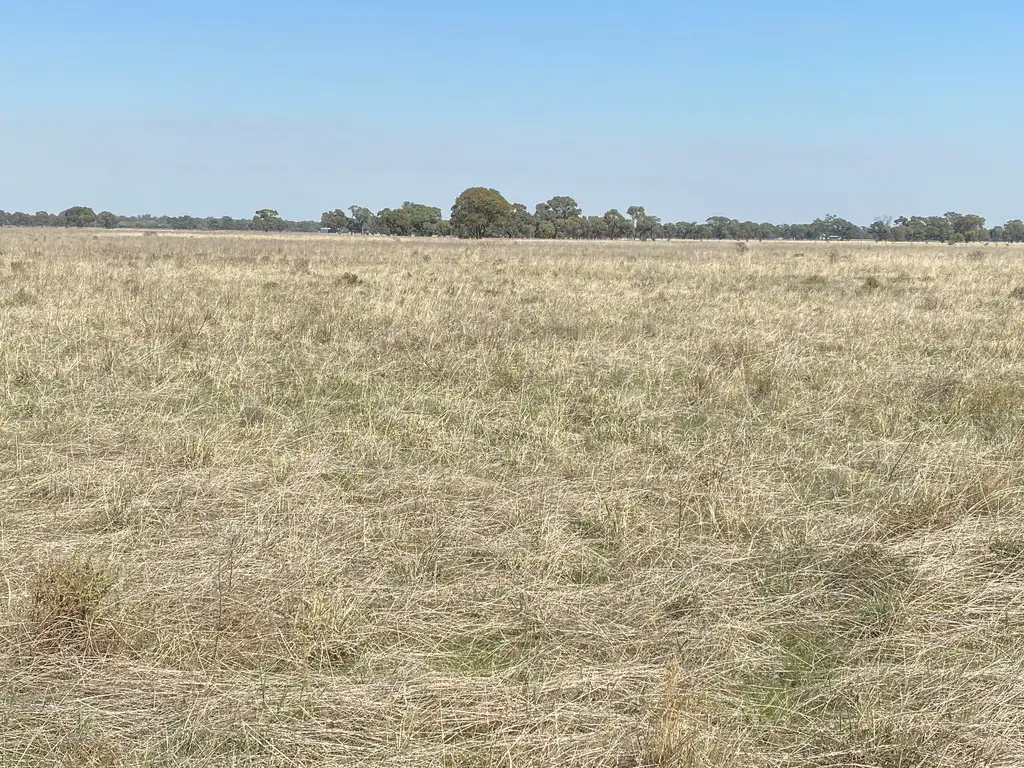 Main view of Homely rural property listing, Lot 2 & 3 Lawrence Road, Deniliquin NSW 2710