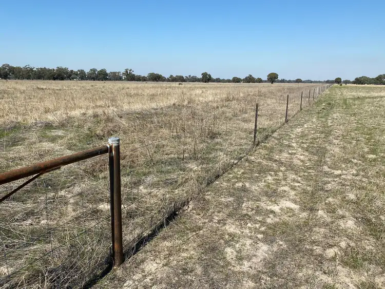 Fifth view of Homely rural property listing, Lot 2 & 3 Lawrence Road, Deniliquin NSW 2710