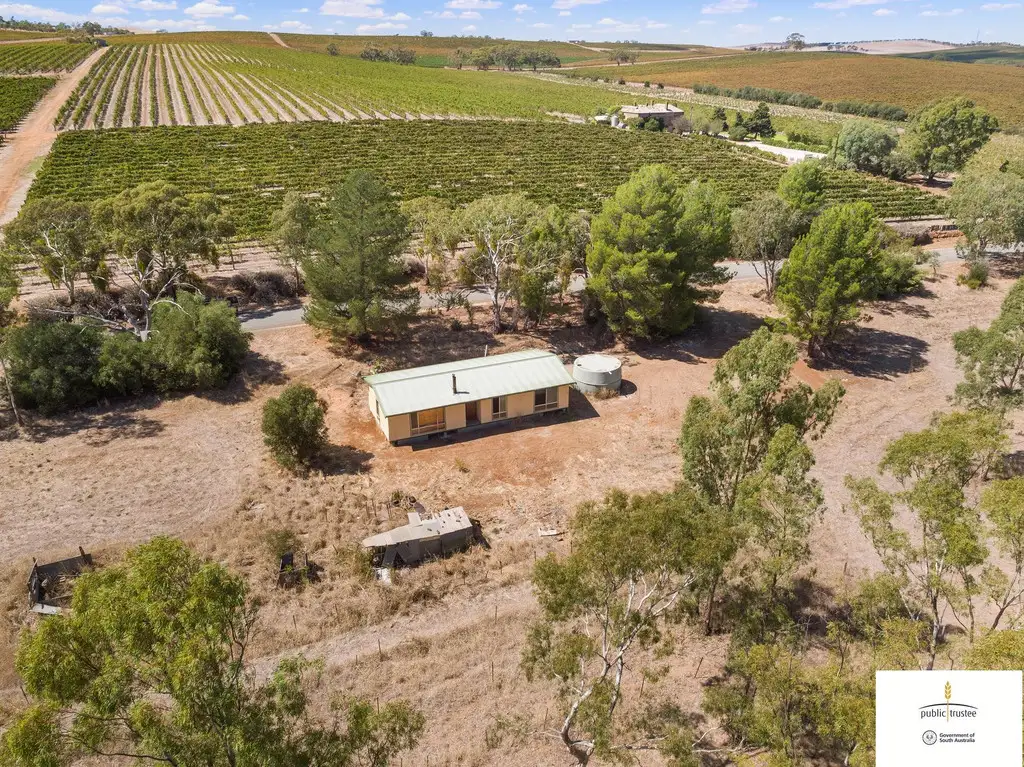 Main view of Homely rural property listing, 36 Old Road, Watervale SA 5452