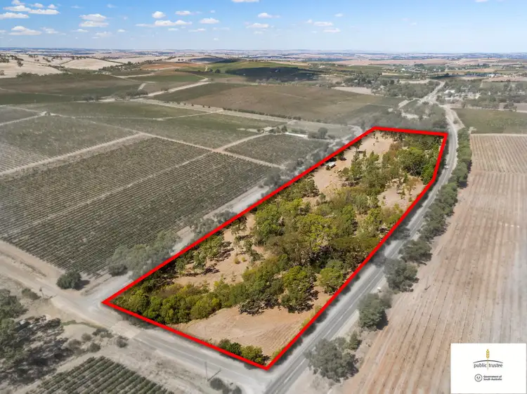 Second view of Homely rural property listing, 36 Old Road, Watervale SA 5452