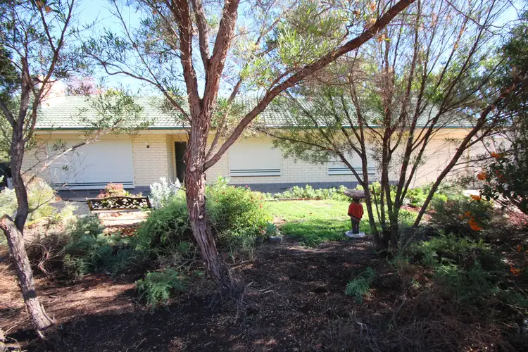 Third view of Homely house listing, 100 Pyap Street,, Renmark SA 5341