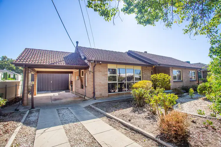 14 Abelia Avenue, Flinders Park SA 5025
