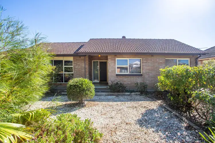Fourth view of Homely house listing, 14 Abelia Avenue, Flinders Park SA 5025