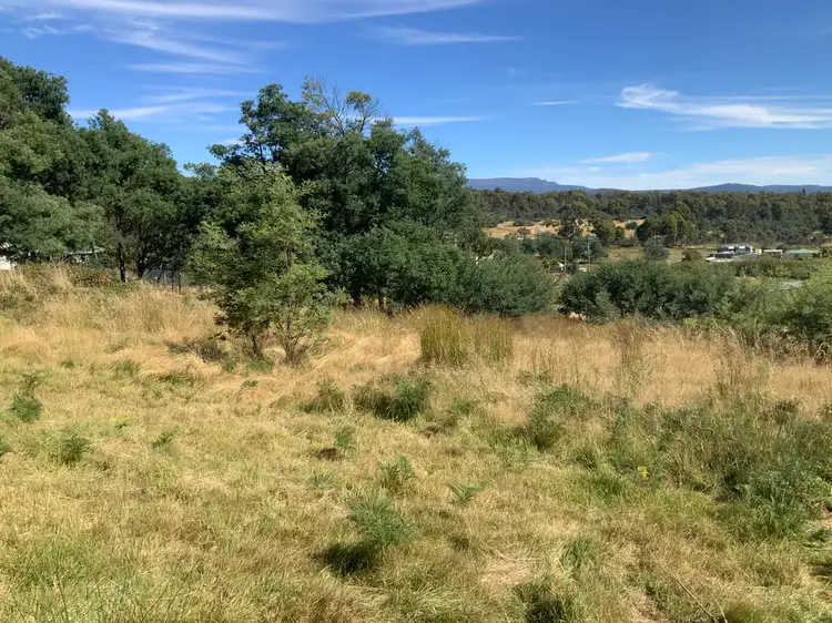 Main view of Homely land listing, Lot 1 Mangana Street, Mathinna TAS 7214