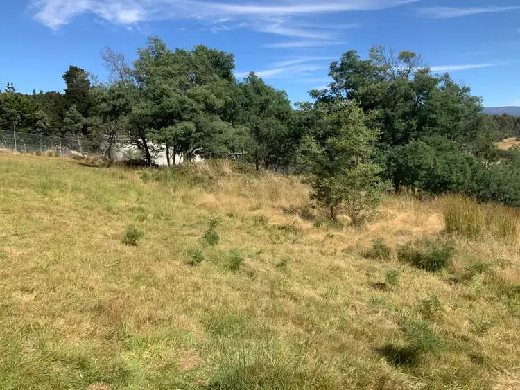 Third view of Homely land listing, Lot 1 Mangana Street, Mathinna TAS 7214