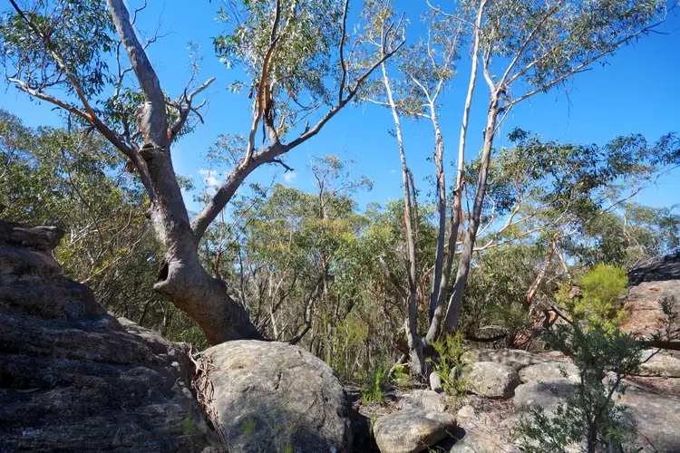 Fifth view of Homely land listing, 9-11 The Glen Road, Mount Victoria NSW 2786