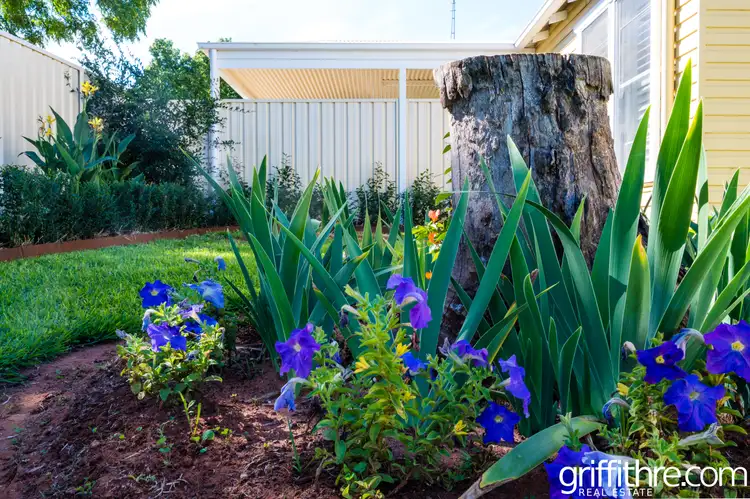 Fourth view of Homely house listing, 25 Hyandra Street, Griffith NSW 2680