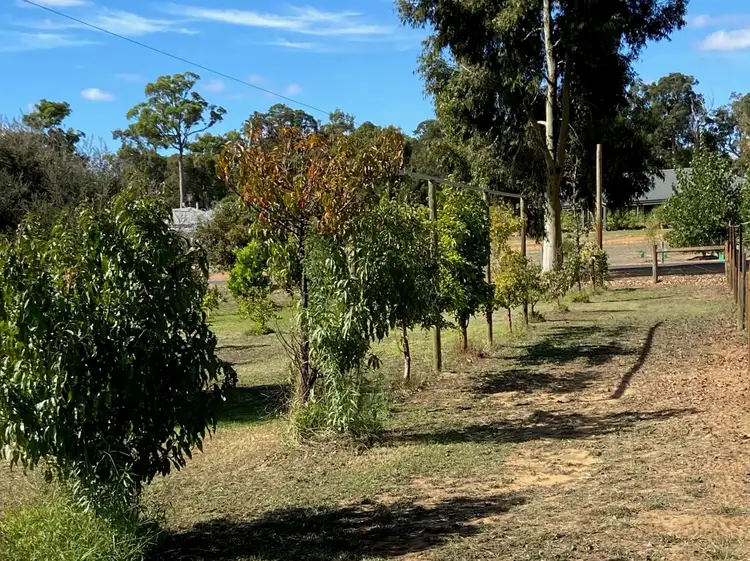 Fourth view of Homely land listing, 33 Valley Way, Nannup WA 6275