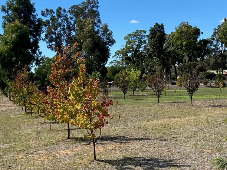 Fifth view of Homely land listing, 33 Valley Way, Nannup WA 6275