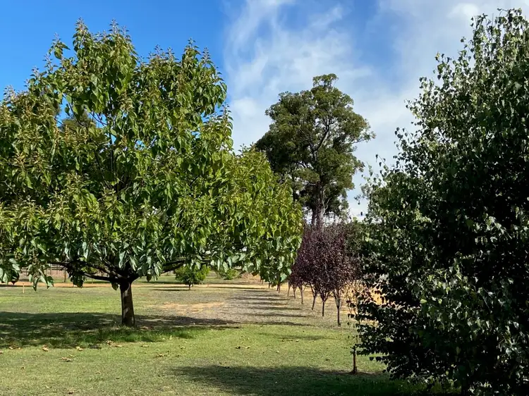 Seventh view of Homely land listing, 33 Valley Way, Nannup WA 6275