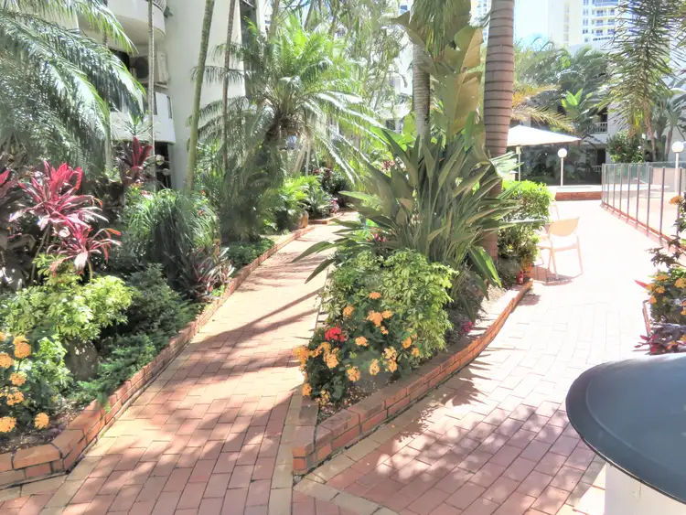 Third view of Homely unit listing, 28/31 Orchid Avenue, Surfers Paradise QLD 4217