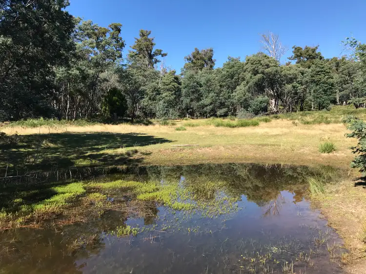 Second view of Homely land listing, Bent Street, Mathinna TAS 7214