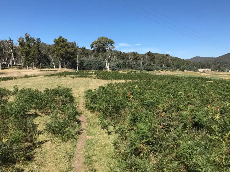 Fifth view of Homely land listing, Bent Street, Mathinna TAS 7214