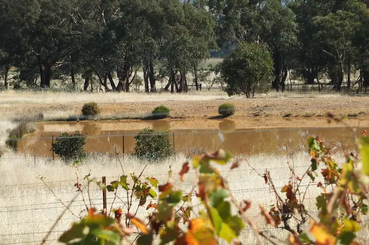 Third view of Homely rural property listing, 245 Puntons Road, Percydale VIC 3478