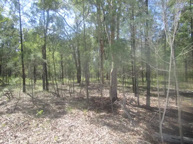 Main view of Homely rural property listing, Lot 67 Males Drive, Tara QLD 4421