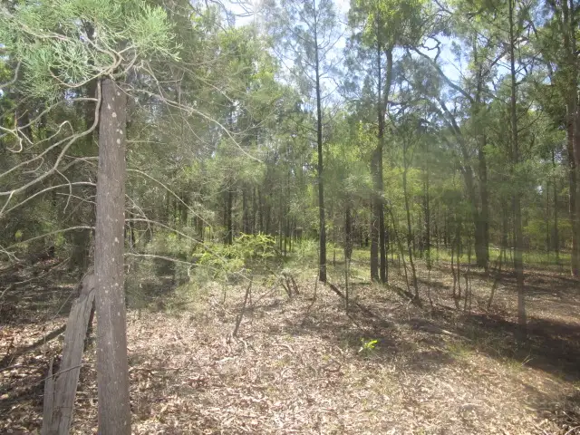 Third view of Homely rural property listing, Lot 67 Males Drive, Tara QLD 4421