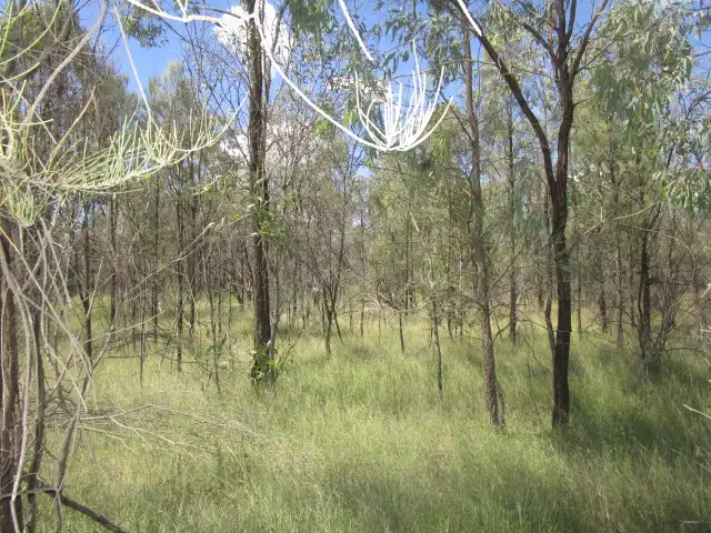 Main view of Homely rural property listing, Lot 77 Bungybah Road, Tara QLD 4421