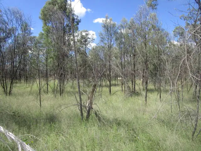 Second view of Homely rural property listing, Lot 77 Bungybah Road, Tara QLD 4421
