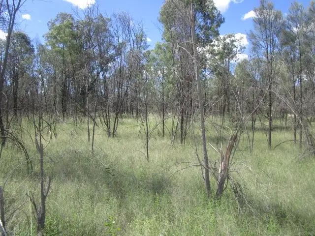 Third view of Homely rural property listing, Lot 77 Bungybah Road, Tara QLD 4421