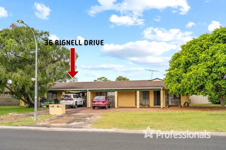 Main view of Homely semi-detached listing, 36 Bignell Drive, West Busselton WA 6280