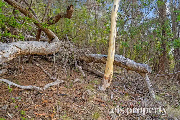 Second view of Homely land listing, Lot 2 Channel Highway, Taroona TAS 7053