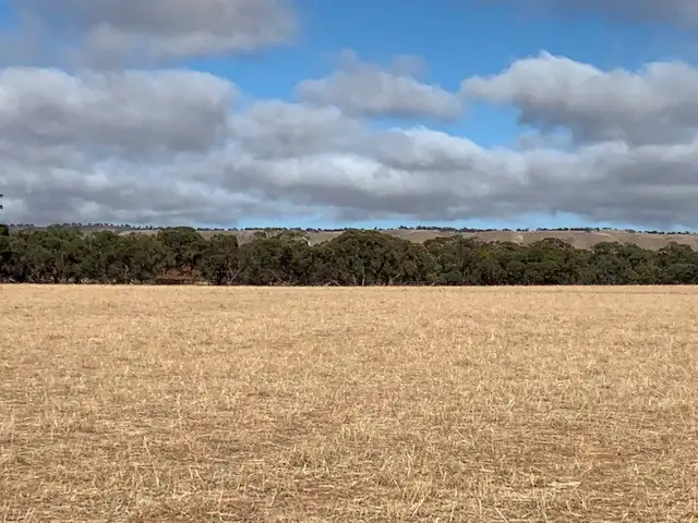 LOT 108 NEINDORF ROAD, Robertstown SA 5381