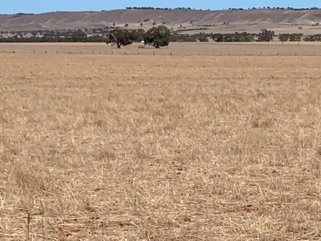 Sixth view of Homely rural property listing, LOT 108 NEINDORF ROAD, Robertstown SA 5381