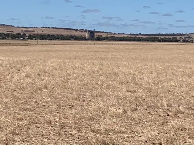 Seventh view of Homely rural property listing, LOT 108 NEINDORF ROAD, Robertstown SA 5381