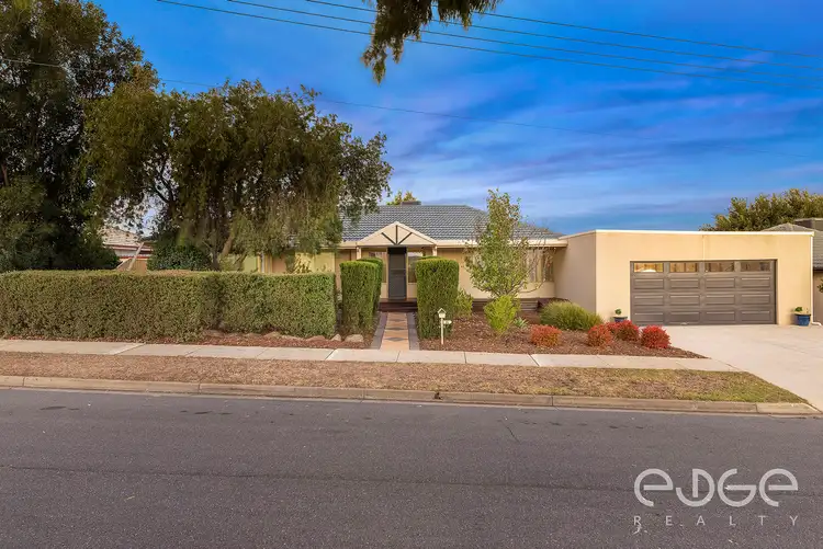 Main view of Homely house listing, 16 Tarqua Court, Modbury North SA 5092