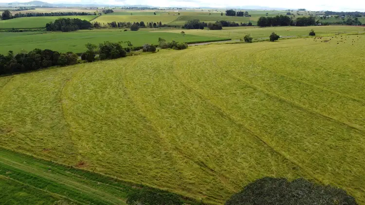 Fifth view of Homely rural property listing, 'HILLVIEW' FOR SALE BY AUCTION 20th MAY 2021, Upper Barron QLD 4883