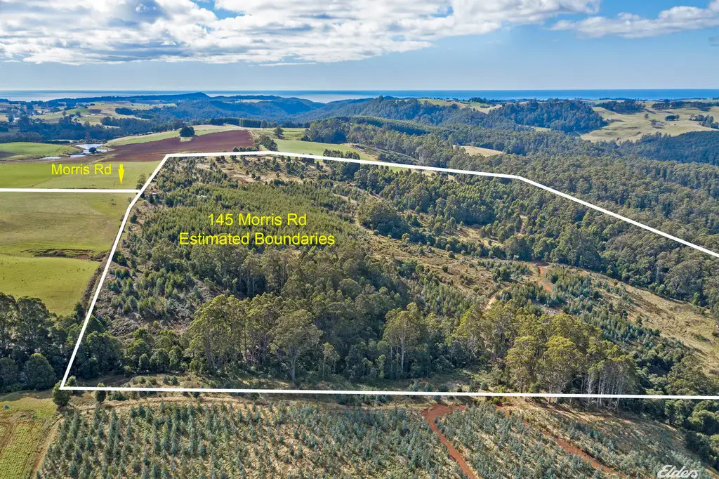 Main view of Homely rural property listing, 145 Morris Road, Natone TAS 7321