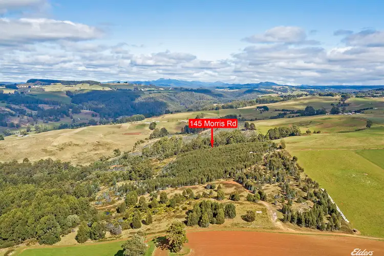 Second view of Homely rural property listing, 145 Morris Road, Natone TAS 7321