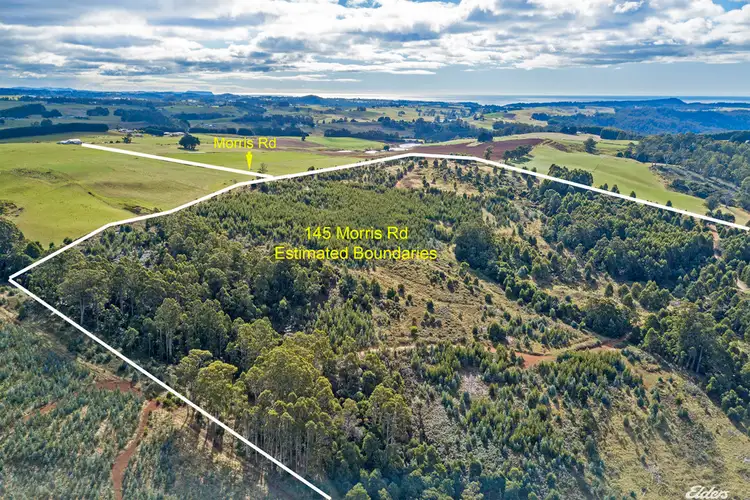 Third view of Homely rural property listing, 145 Morris Road, Natone TAS 7321