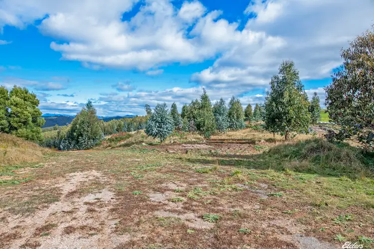 Fourth view of Homely rural property listing, 145 Morris Road, Natone TAS 7321