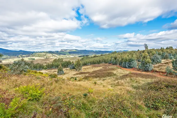 Fifth view of Homely rural property listing, 145 Morris Road, Natone TAS 7321