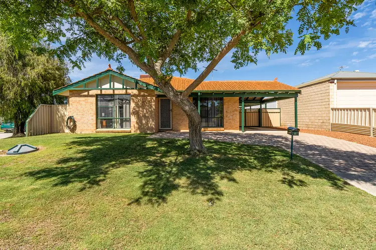 Main view of Homely house listing, 11 Mulloway Place, Warnbro WA 6169