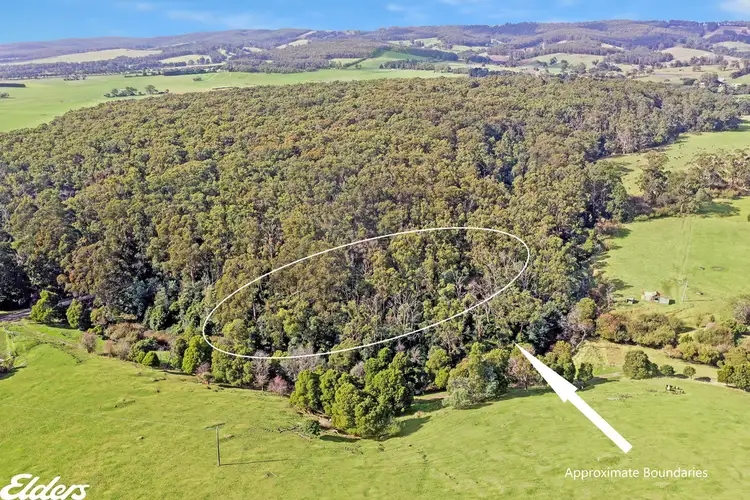 Main view of Homely rural property listing, 82B ALBERT RIVER WELSHPOOL ROAD, Binginwarri VIC 3966