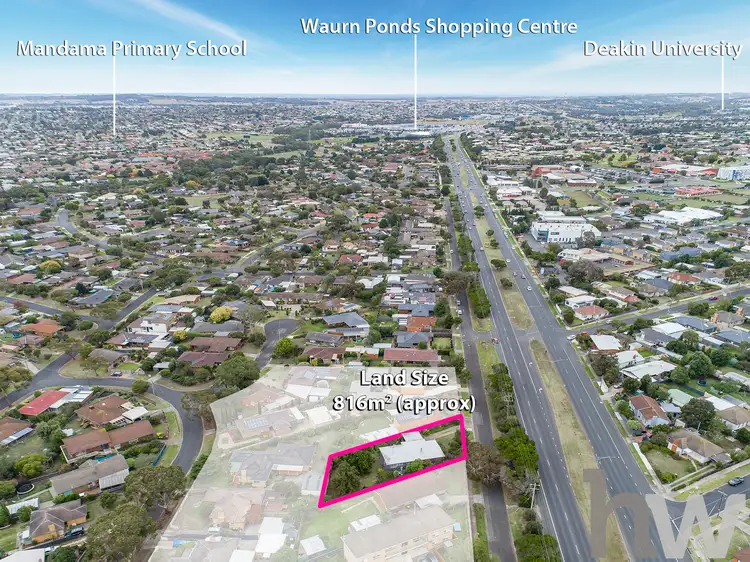 Main view of Homely house listing, 341 High Street, Belmont VIC 3216