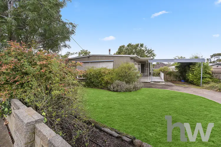 Second view of Homely house listing, 341 High Street, Belmont VIC 3216