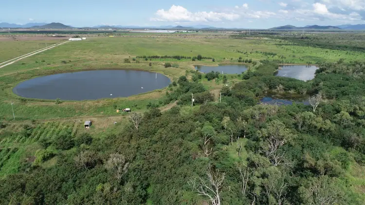 Main view of Homely rural property listing, 317 Balaam Road, Bowen QLD 4805