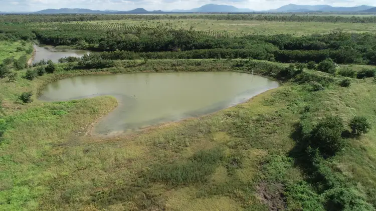 Fifth view of Homely rural property listing, 317 Balaam Road, Bowen QLD 4805