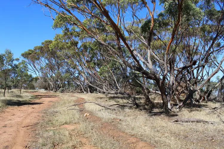 Third view of Homely land listing, 112 Munro Street, Cuballing WA 6311