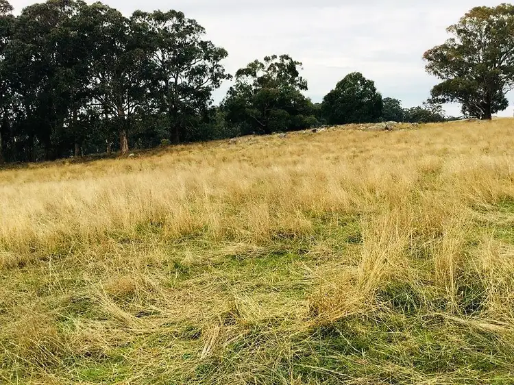 Fourth view of Homely rural property listing, 155 Gum Road, Caveat VIC 3660