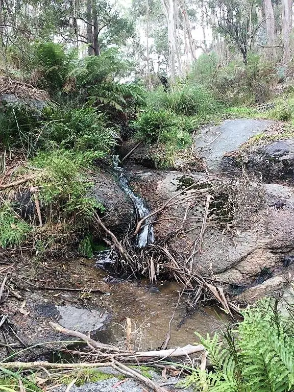 Seventh view of Homely rural property listing, 155 Gum Road, Caveat VIC 3660