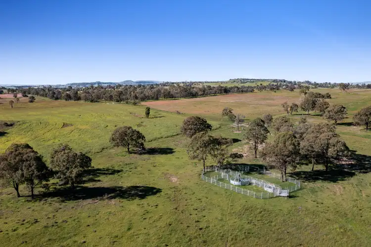 230 ACRES, SCRUB SOIL GRAZING, Peranga QLD 4352