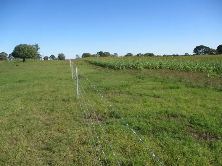 Third view of Homely rural property listing, 230 ACRES, SCRUB SOIL GRAZING, Peranga QLD 4352
