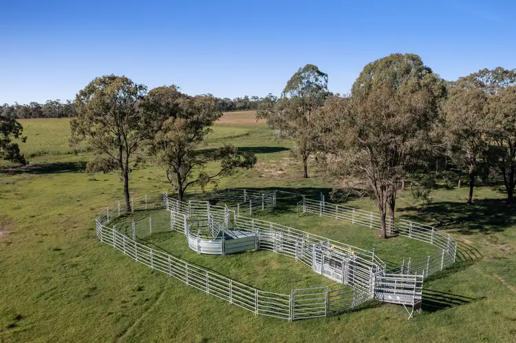 Fifth view of Homely rural property listing, 230 ACRES, SCRUB SOIL GRAZING, Peranga QLD 4352