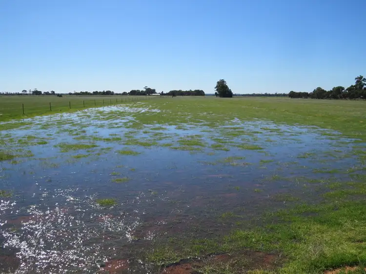 Main view of Homely rural property listing, 506 BARHAM ROAD, Deniliquin NSW 2710